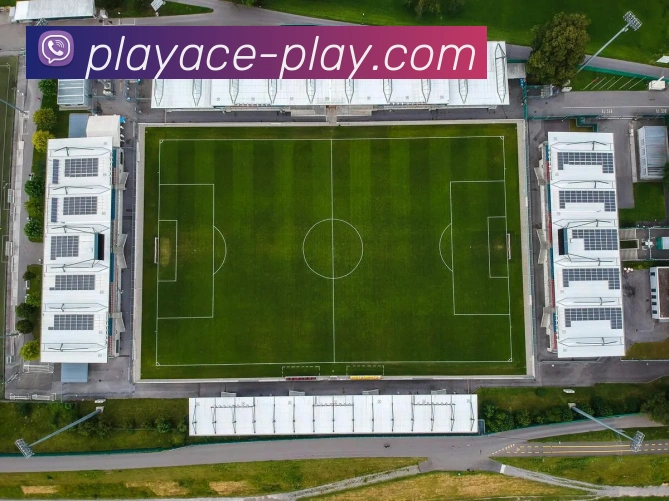 PA真人官网平台生态图